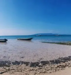 Beach Bohol