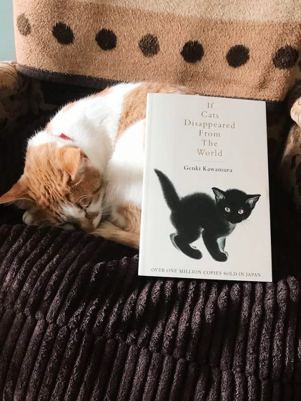 book review if cats disappeared from the world