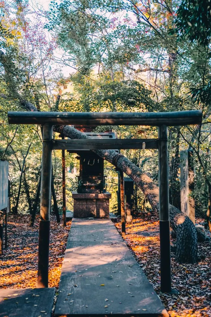 tokyo shinto shrine