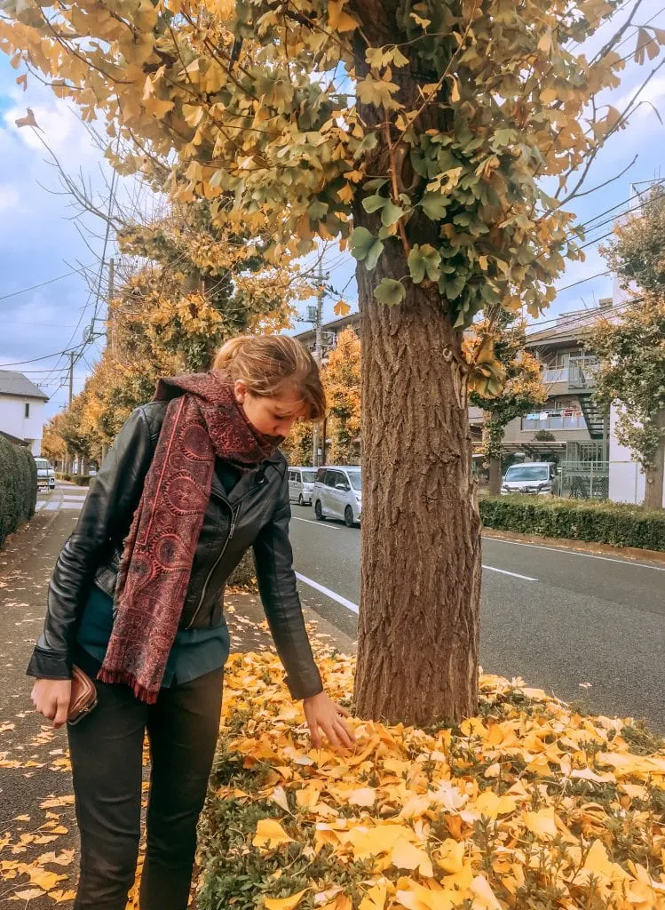 tokyo autumn leaves