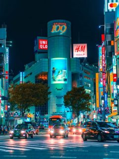 Tokyo Neighbourhood Guide