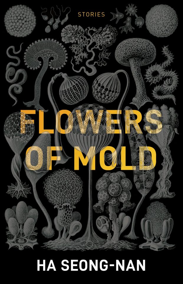 flowers of mold