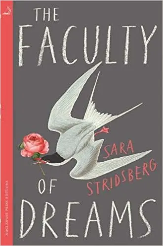 The Faculty of Dreams Review