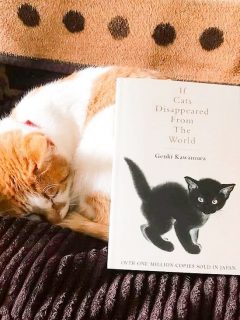 Japan and Cats Books