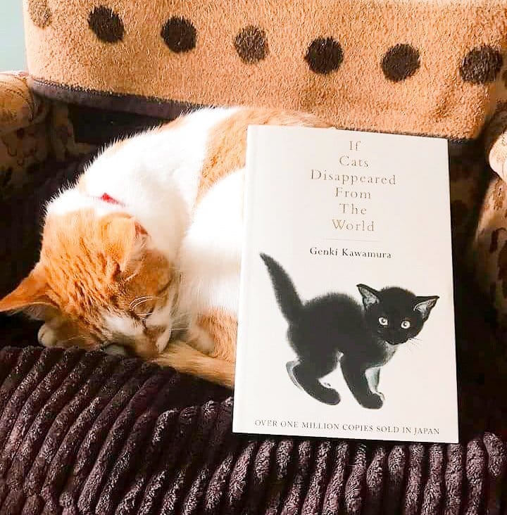 Japan and Cats Books