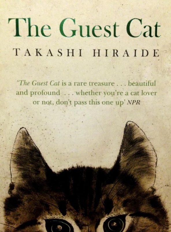 9 Japanese Books for People who Love Japan and Cats Books and Bao