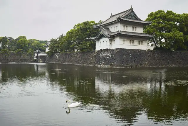 Imperial Palace in Tokyo to Enjoy Japan's Changing Seasons
