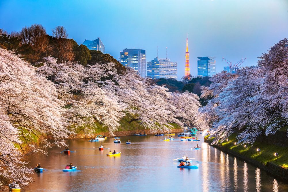 The best places to visit in Tokyo and top attractions