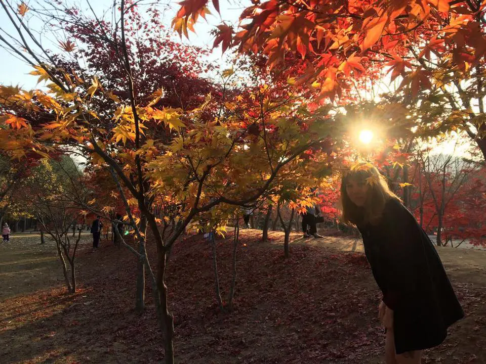 nami island south korea