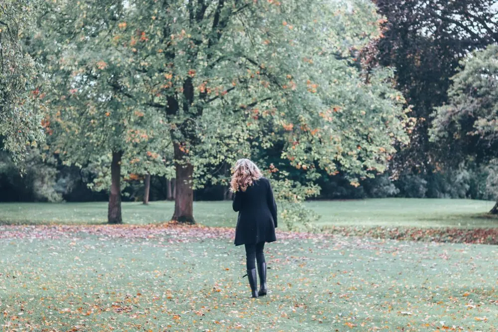 Blenheim Palace, Woodstock Grounds