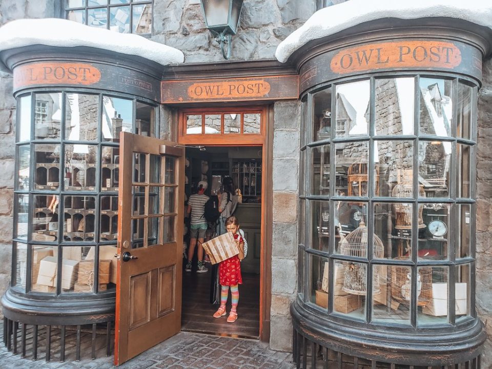 Ultimate Guide: Wizarding World Of Harry Potter (la) 