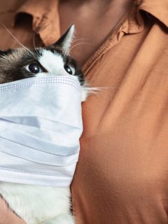 Portrait of girl and cat in quarantine wearing mask