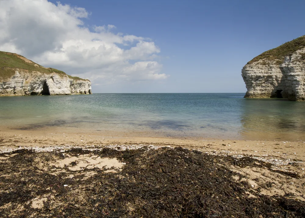 Flamborough head yorkshire