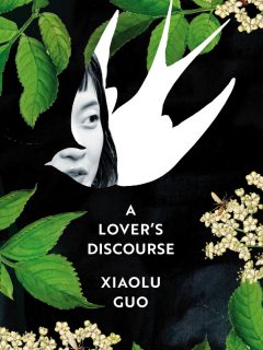 a lover's discourse xiaolu guo