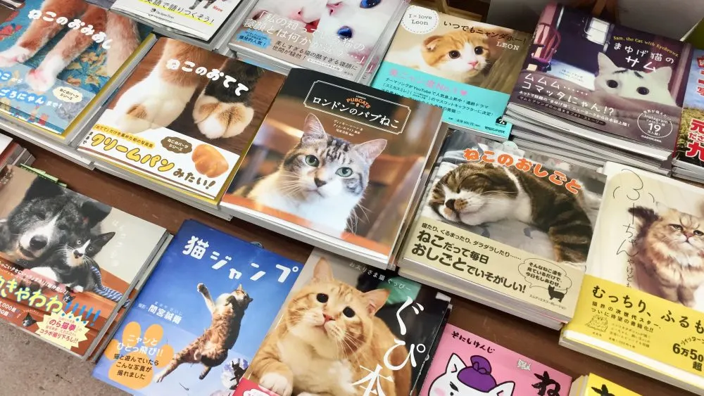 cat bookstore anegawa nyankodo
