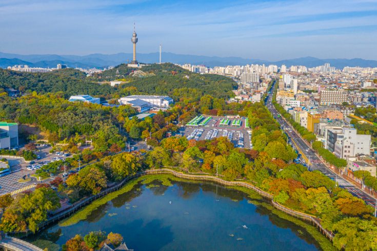 7 Amazing Things to Do in Daegu 대구 (By a Local)  Books and Bao