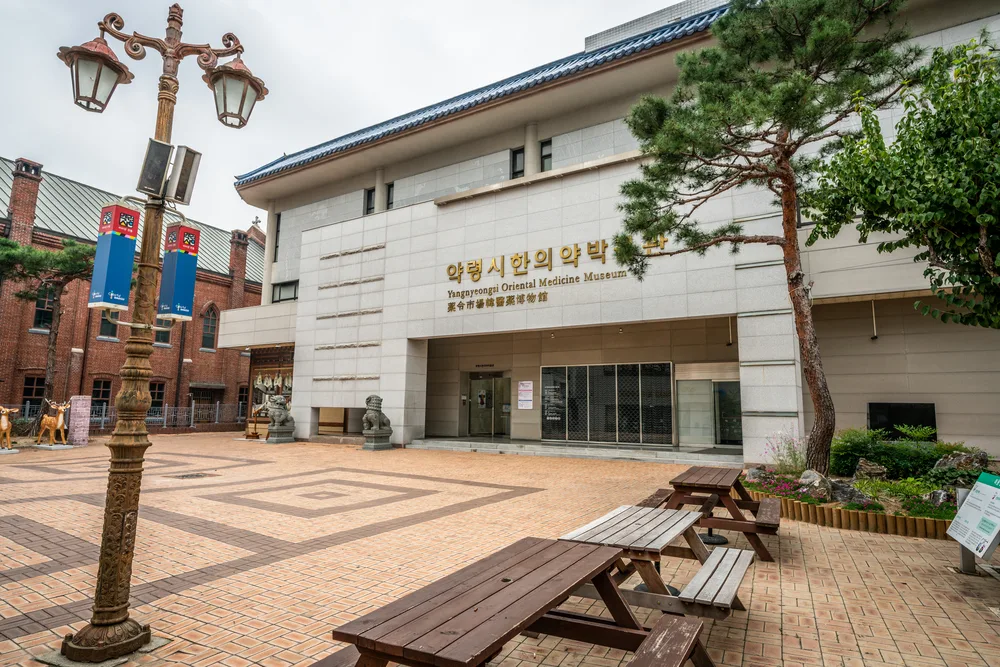 Daegu Yangnyeongsi oriental medicine museum 