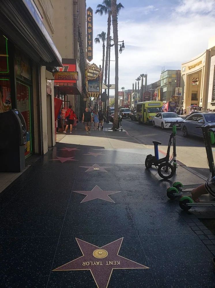 hollywood walk of fake