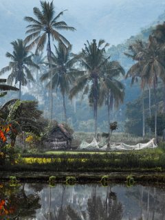 unique things to do in Bali