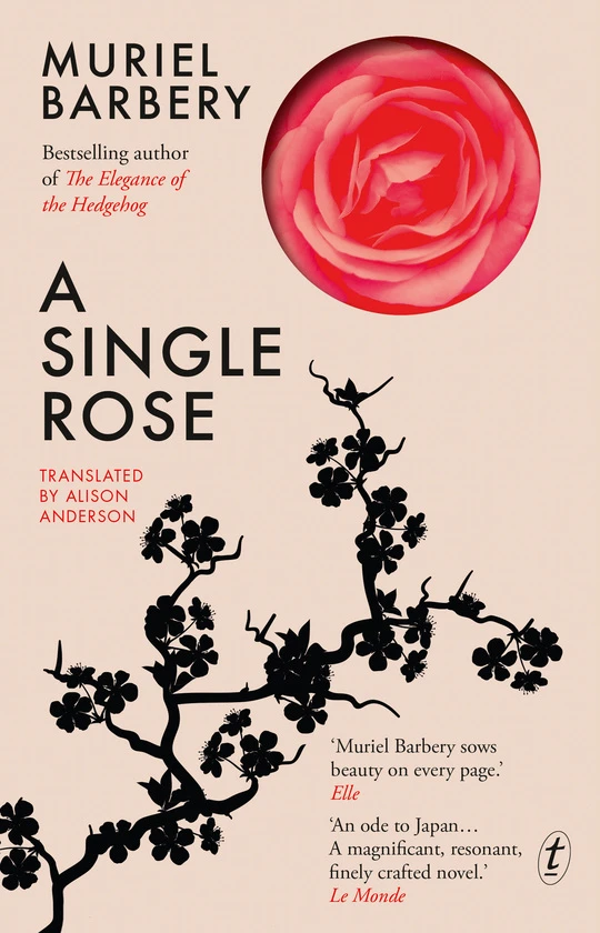 a single rose muriel barbery